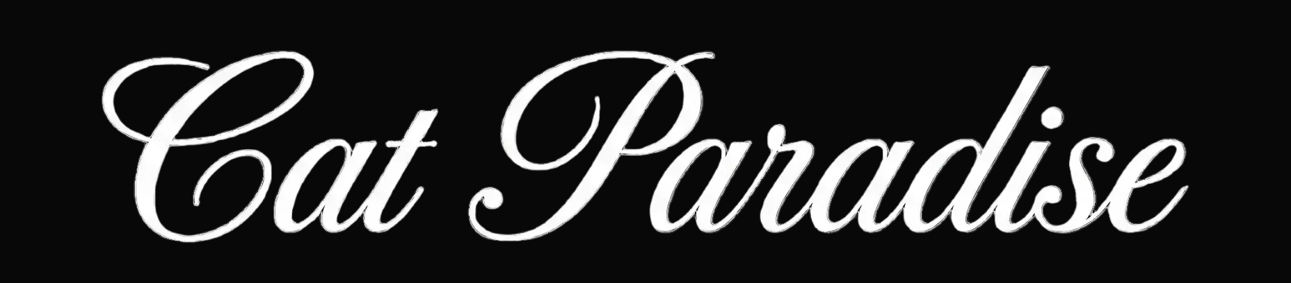 Cat Paradise